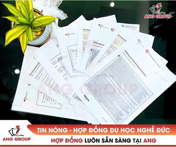 Bùng nổ hợp đồng du học nghề Đức tại ANG